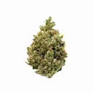 Buy Hybrid-marijuana-strains