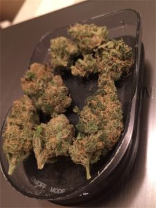 godberry__primary_691f