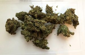 The Truth About Smoking Weed in Dammam, Saudi Arabia